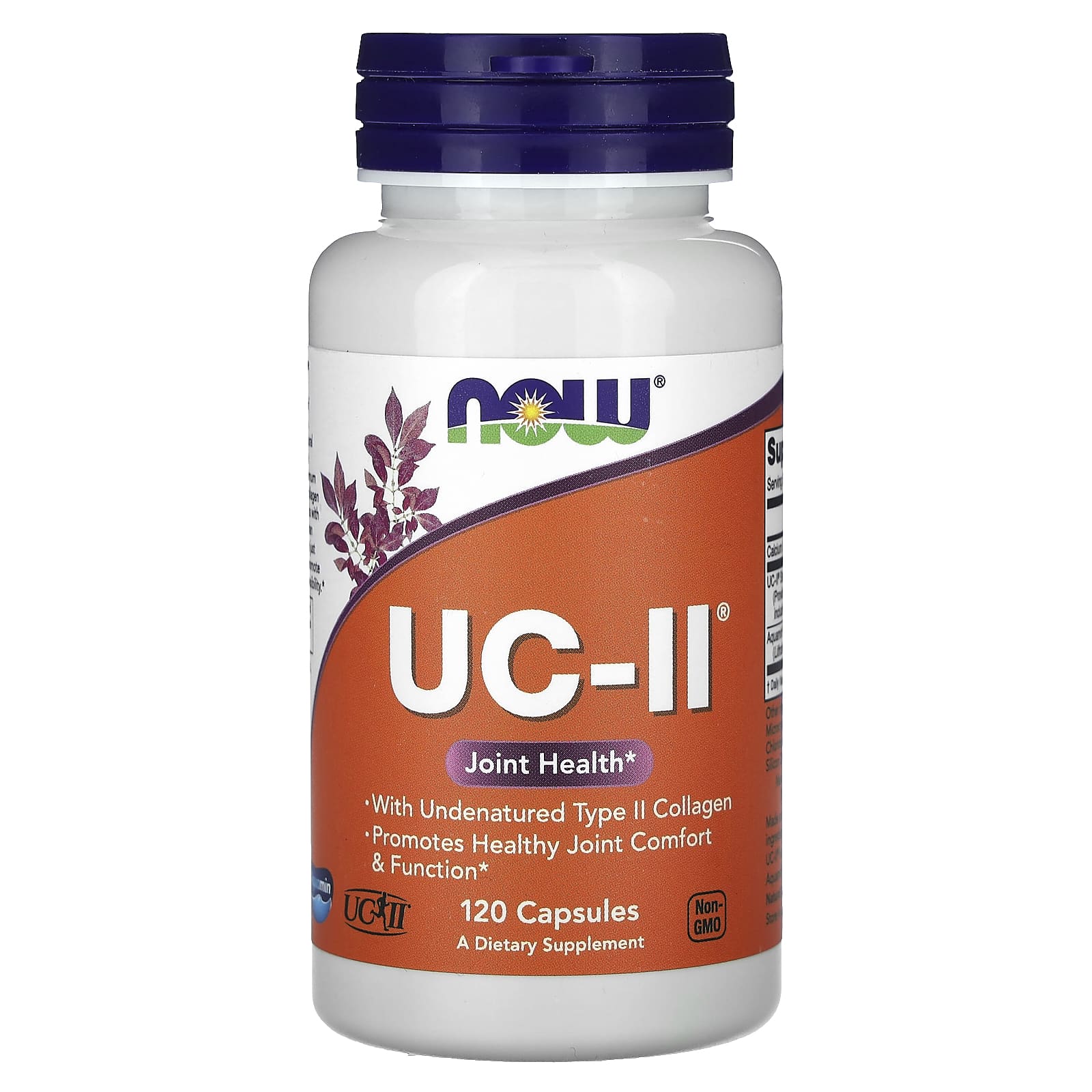 یو‌سی ۲ (UC-II) ناو فودز ۱۲۰ کپسول